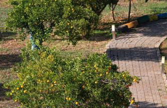 Villa Plaka 16 - 'The Roof' - Drepano, Nafplio - Foto 17