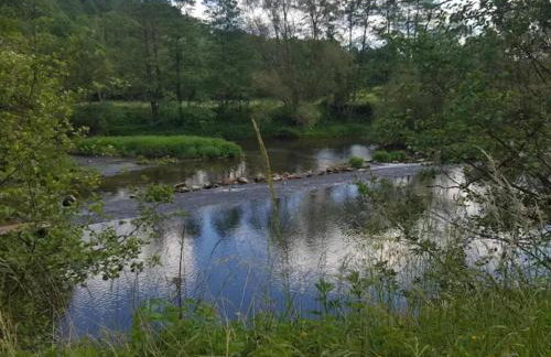 Spacious Farmhouse in Friedrichsfeld near Forest - Foto 45