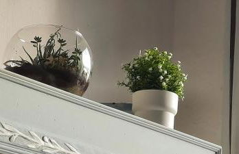 AIRUNNES Atico duplex Zahara primera linea - Photo 29