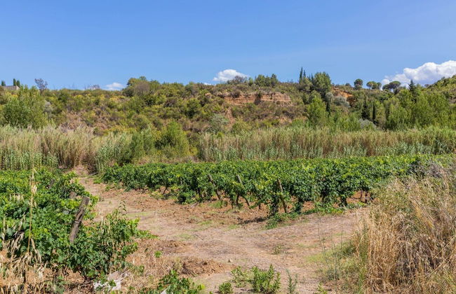 Retreat in Saint Denis - Foto 79