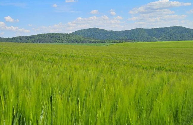 Apartment in Twistetal Oberwaroldern - Foto 27