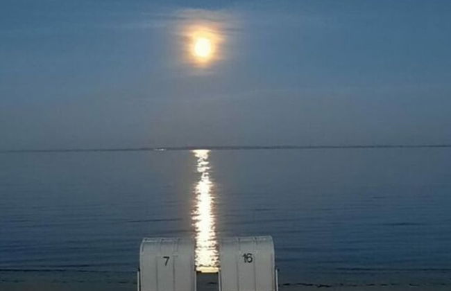 2 Rena Modern Retreat - Foto 29