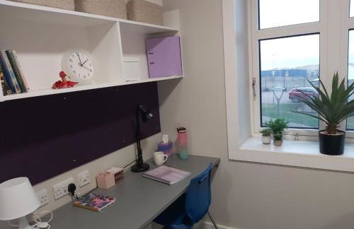 UPP Bay Campus Swansea - Foto 19