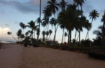 Paraíso dos Corais - Foto 26