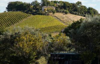 Casa Renzo, Exclusive Farmhouse with Private Pool - near Fermo - Foto 30