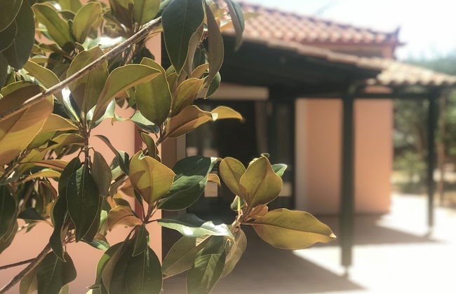 Private Two-house Villa With Pool in Olive Garden - Foto 45