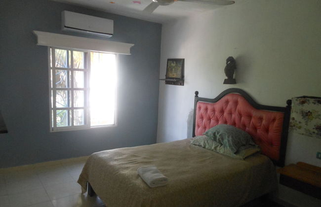 Whole House To Your Self Now Swimming Pool - Photo 5