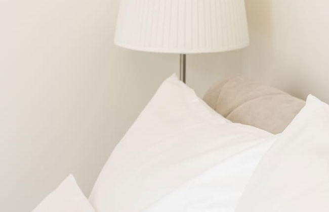 Exclusive Residence Vienna - Foto 6