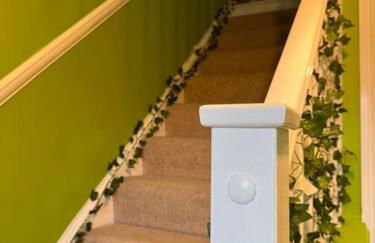 #1 Most Viral Pink House w Ball Pit - Foto 8