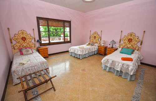 TURISME RURAL HORTA del PI - Foto 12