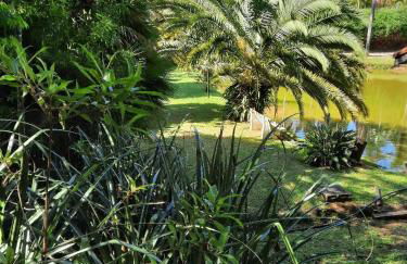 Chácara Recanto Feliz - Foto 27