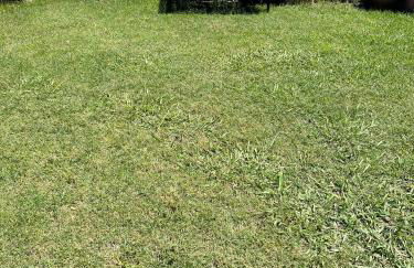 Chalet moderno con PISCINA en Calafell - Foto 39