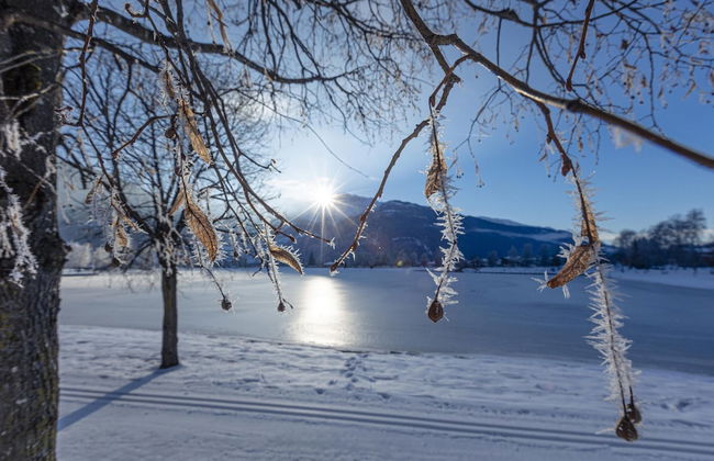 Superior Ferienhaus # 4A mit Sauna - Foto 15