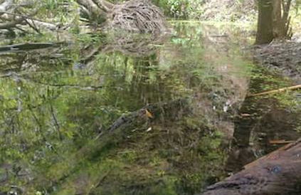 Charming House in Temisas with Parking and Air Conditioning - Photo 56