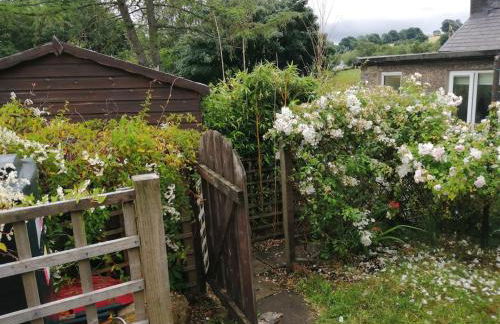 Cosy cottage in Snowdonia hamlet - Foto 28