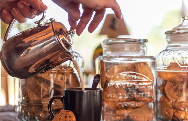 Kruger Untamed - Tshokwane River Camp - Photo 29