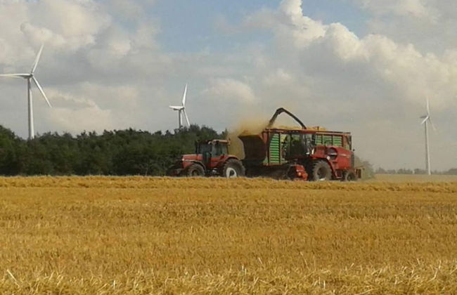 Country House Near Baltic Sea Beach - Foto 39