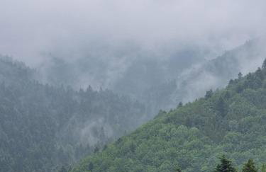 Przytulne Apartamenciki tuż przy Termach i Parku, nieopodal szlak na Turbacz, GPN, KGP - Foto 57