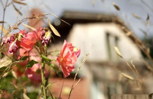 Kunst Ferienwohnung 200 Meter zum Elbesandstrand - Foto 25