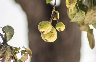 Urban Beach - A Algarvia - Photo 24