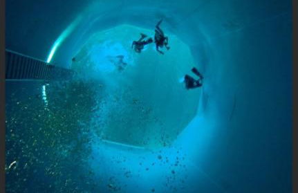 Solar Dream - close to Disney - Foto 19