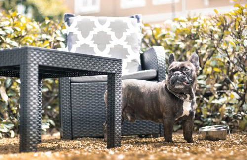 Apartment Elysium am Rosengarten - Photo 24