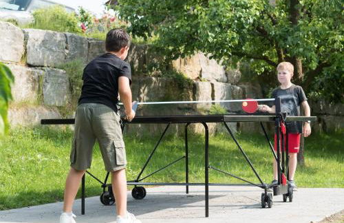 Ferienhof Henn - Foto 9