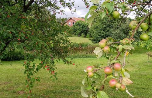 Agroturystyka Pod Dębem - Foto 8