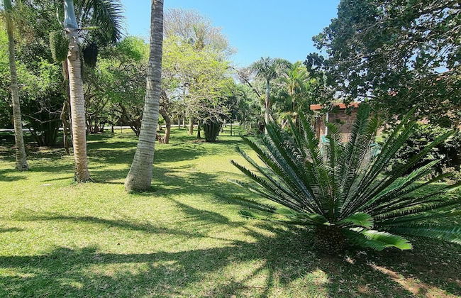 Sea's the day - Photo 16