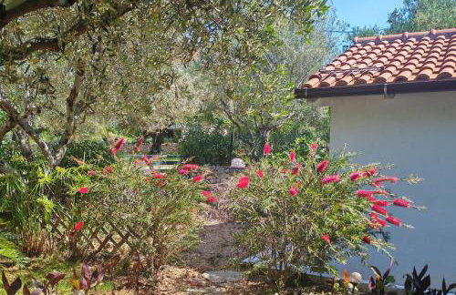 Apartments with garden - Foto 53