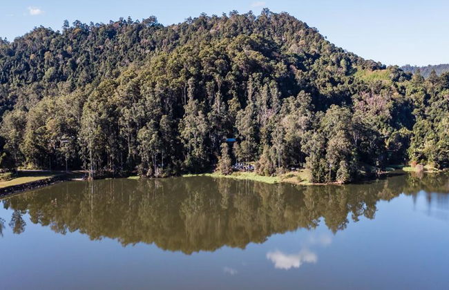 Sunshine Coast Hinterland Scenic with Food and Wine Tastings - Full-Day Small Group Tour - Foto 8