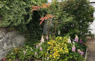 Kings Cottage, Nairn - a charming place to stay - Foto 8