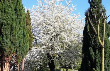 Ferienappartement Obrigheim - Foto 21