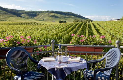 Ferienweingut Pies Ellenz-Poltersdorf - Foto 17