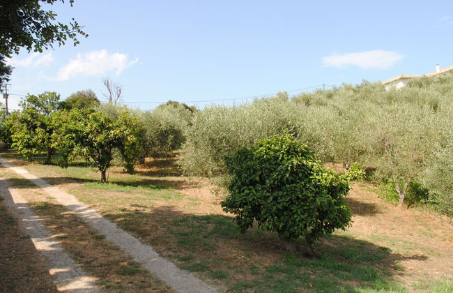 Maison Gerard - Photo 25