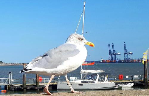 Beachside Terrace - Foto 21