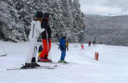 Panoramaferienwohnung Bergwiese - Foto 22