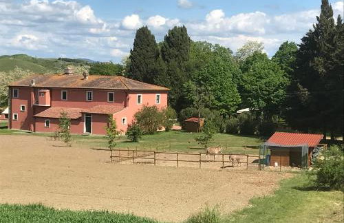 Casarossa, la casa del cuore - Foto 43