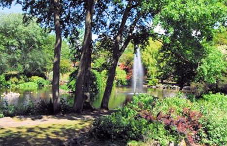 Woodlands Holiday Apartments - Foto 41