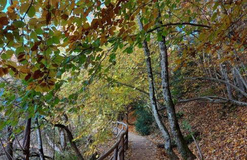 Apartment Andrea - Foto 42