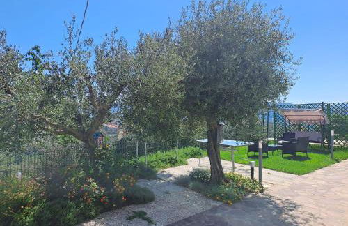 La Maestà di Alice - Foto 40