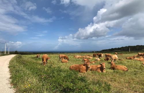 Casinha da Cabra, Casas do Poente, Rogil, Aljezur - Photo 25