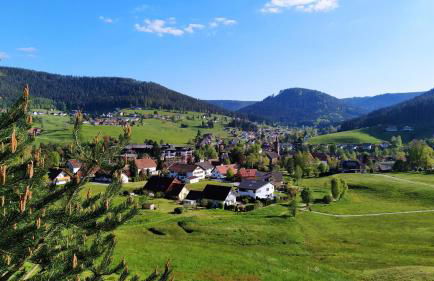 Ferienwohnung, Sauna & Gästekarte gratis im Schwarzwald - Photo 38