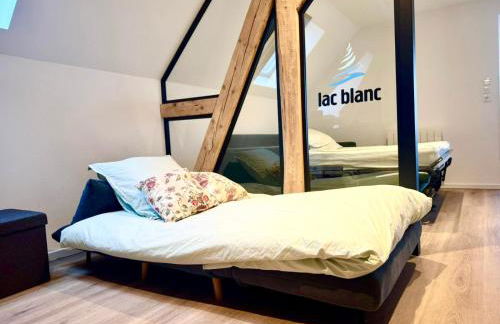 Appartements Les Vosges - Foto 71