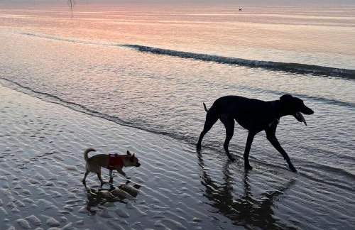 Dog Friendly Lovely Caravan by Beach Prestatyn N Wales 6 Berth Read full Host details before booking Mon in to Fri out Fri in to Mon out Mon to Mon Fri to Fri ONLY - Foto 18