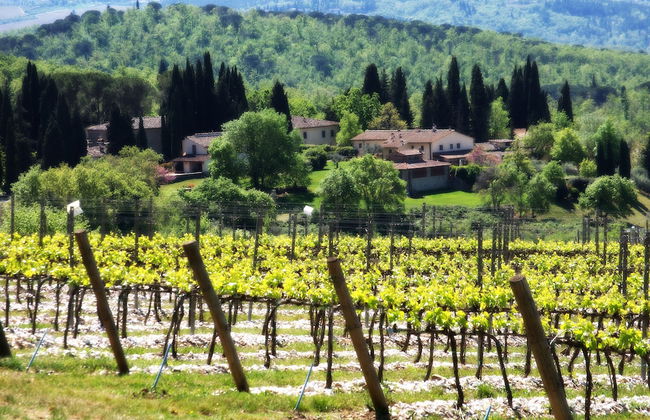 Fonte de' Medici - Foto 35