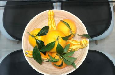 Casa da Matriz - Foto 95