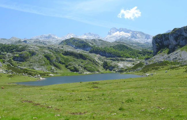 Excursion aux lacs de Covadonga en petit groupe - Photo 5