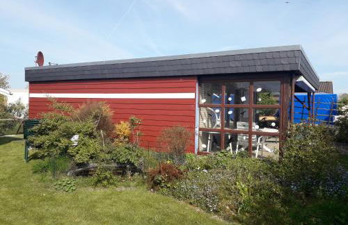 Büsumer blaue Krabbe - Foto 2