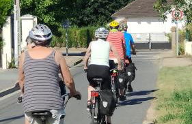La Maison Bleue de Husseau Ancienne ferme semi-troglodytique 18e siècle - Foto 38